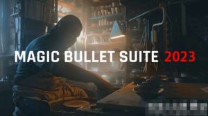 中文版-红巨星降噪磨皮美颜颜色校正套装AE/PR插件合集Magic Bullet Suite 2024.0.0 Win-cg男孩