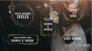 AE模板-浪漫爱情小清新花环婚礼文字标题动画 Color Wedding Titles-cg男孩