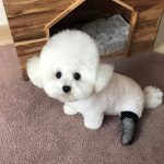 airydeer的头像-cg男孩