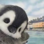 Afei的头像-cg男孩