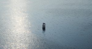 Physical Open Waters水面效果插件-cg男孩