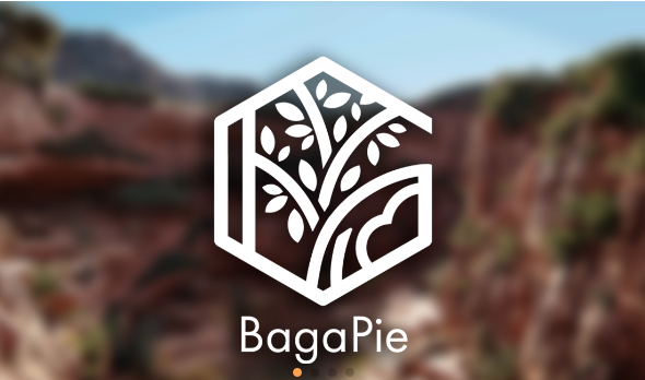 Blender自然环境植物石头插件预设包 BagaPie Modifier Assets V10.4.4+预设库-cg男孩