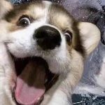 Mslz的头像-cg男孩